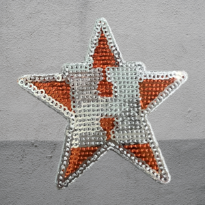 Sequin star